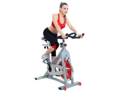 Sunny Health & Fitness SF-B901 Pro Cycling Upright Exercise Bike